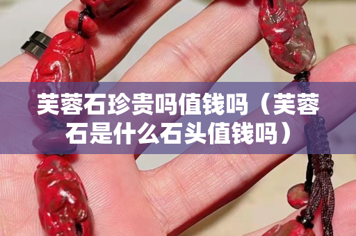 芙蓉石珍貴嗎值錢嗎（芙蓉石是什么石頭值錢嗎）