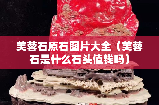 芙蓉石原石圖片大全（芙蓉石是什么石頭值錢(qián)嗎）