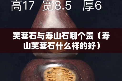 芙蓉石與壽山石哪個貴（壽山芙蓉石什么樣的好）