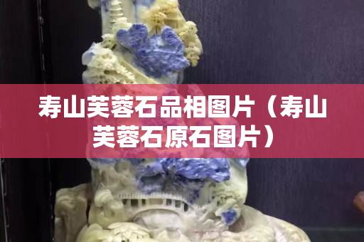 壽山芙蓉石品相圖片（壽山芙蓉石原石圖片）