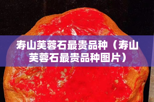 壽山芙蓉石最貴品種（壽山芙蓉石最貴品種圖片）
