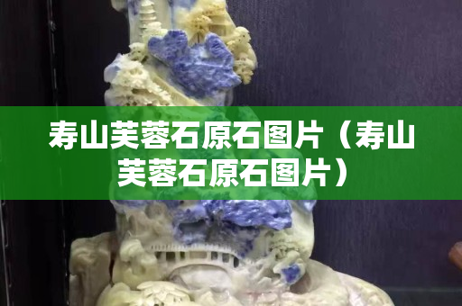 壽山芙蓉石原石圖片（壽山芙蓉石原石圖片）