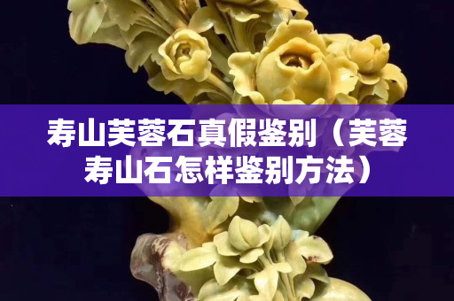 壽山芙蓉石真假鑒別（芙蓉壽山石怎樣鑒別方法）