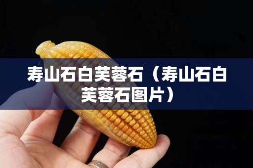 壽山石白芙蓉石（壽山石白芙蓉石圖片）