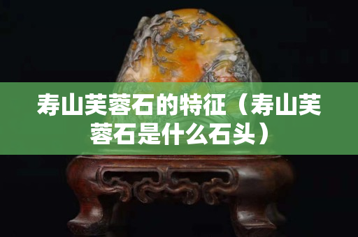 壽山芙蓉石的特征（壽山芙蓉石是什么石頭）