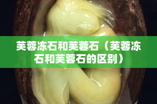 芙蓉凍石和芙蓉石（芙蓉凍石和芙蓉石的區(qū)別）
