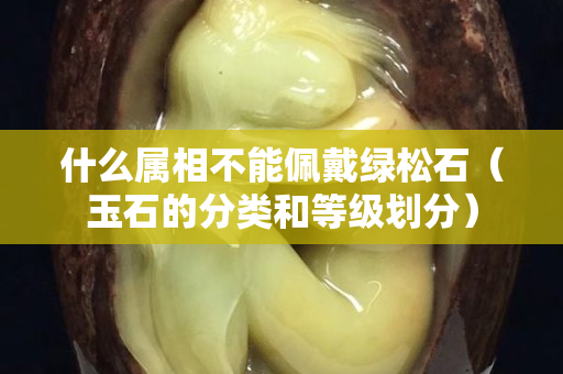 什么屬相不能佩戴綠松石（玉石的分類和等級劃分）