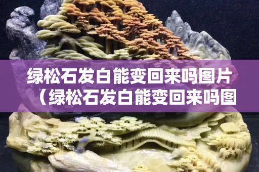 綠松石發白能變回來嗎圖片（綠松石發白能變回來嗎圖片欣賞）
