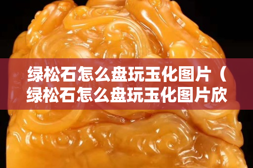 綠松石怎么盤玩玉化圖片（綠松石怎么盤玩玉化圖片欣賞）