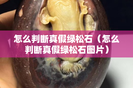 怎么判斷真假綠松石（怎么判斷真假綠松石圖片）