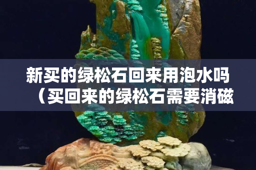 新買的綠松石回來用泡水嗎（買回來的綠松石需要消磁嗎）