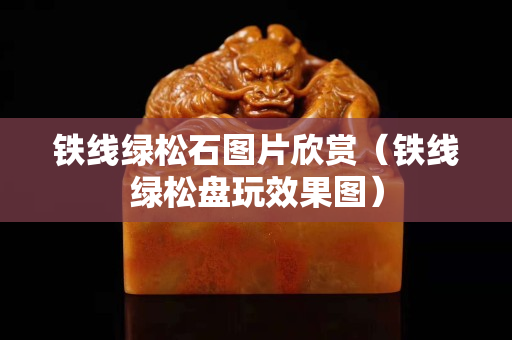 鐵線綠松石圖片欣賞（鐵線綠松盤玩效果圖）