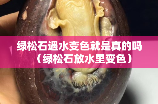 綠松石遇水變色就是真的嗎（綠松石放水里變色）