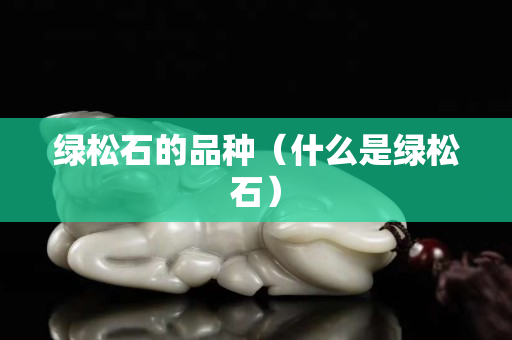 綠松石的品種（什么是綠松石）