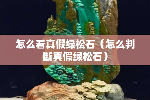 怎么看真假綠松石（怎么判斷真假綠松石）
