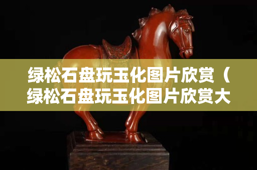 綠松石盤玩玉化圖片欣賞（綠松石盤玩玉化圖片欣賞大圖）