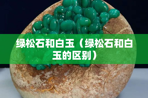 綠松石和白玉（綠松石和白玉的區(qū)別）