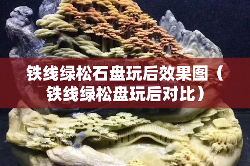 鐵線綠松石盤玩后效果圖（鐵線綠松盤玩后對比）