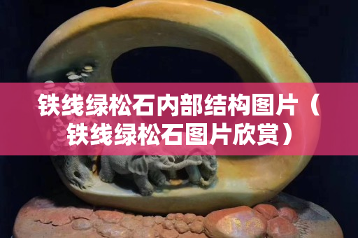 鐵線綠松石內部結構圖片（鐵線綠松石圖片欣賞）