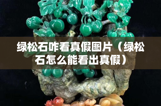 綠松石咋看真假圖片（綠松石怎么能看出真假）