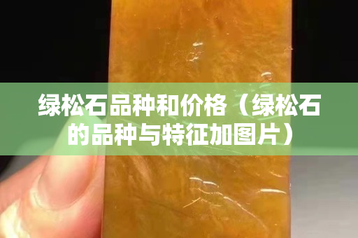 綠松石品種和價格（綠松石的品種與特征加圖片）