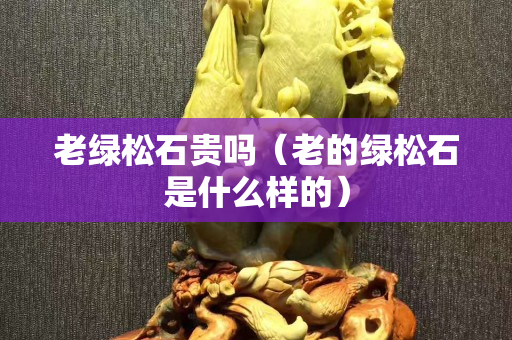 老綠松石貴嗎（老的綠松石是什么樣的）