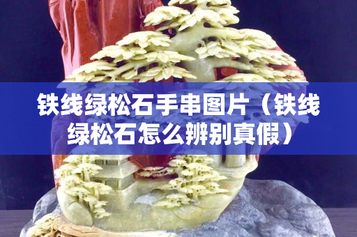 鐵線綠松石手串圖片（鐵線綠松石怎么辨別真假）