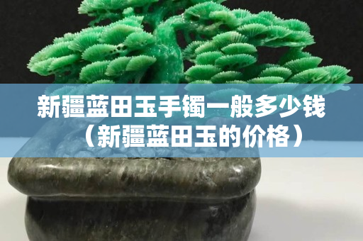 新疆藍田玉手鐲一般多少錢（新疆藍田玉的價格）