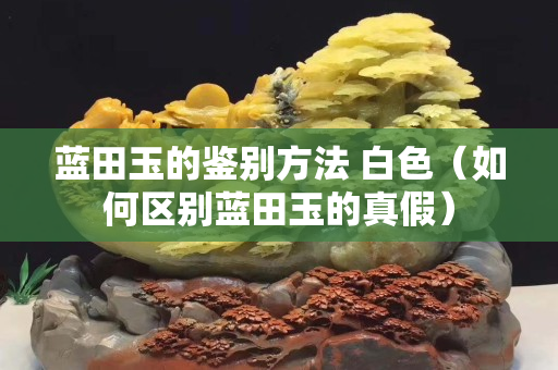藍(lán)田玉的鑒別方法 白色（如何區(qū)別藍(lán)田玉的真假）