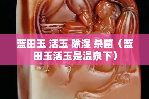 藍田玉 活玉 除濕 殺菌（藍田玉活玉是溫泉下）