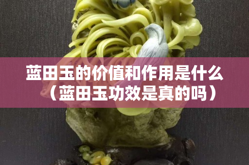 藍田玉的價值和作用是什么（藍田玉功效是真的嗎）