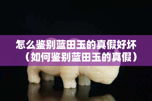 怎么鑒別藍田玉的真假好壞（如何鑒別藍田玉的真假）