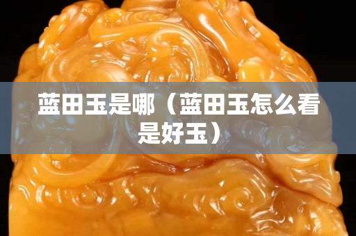 藍田玉是哪（藍田玉怎么看是好玉）