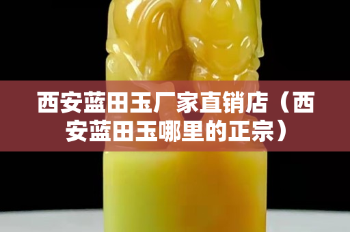 西安藍田玉廠家直銷店（西安藍田玉哪里的正宗）