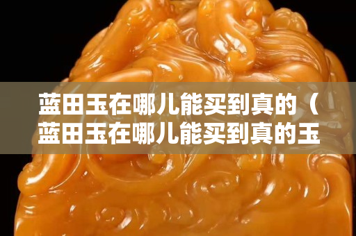 藍田玉在哪兒能買到真的（藍田玉在哪兒能買到真的玉石）
