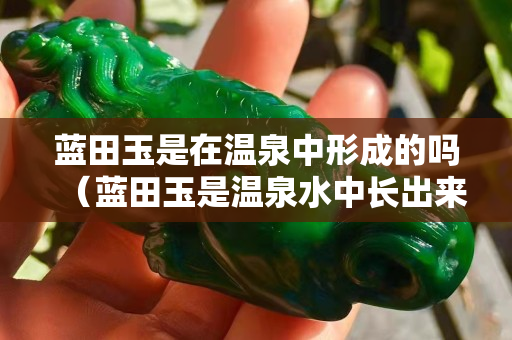 藍田玉是在溫泉中形成的嗎（藍田玉是溫泉水中長出來的）