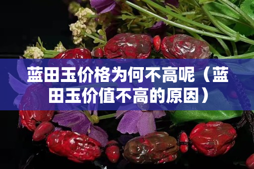 藍田玉價格為何不高呢（藍田玉價值不高的原因）