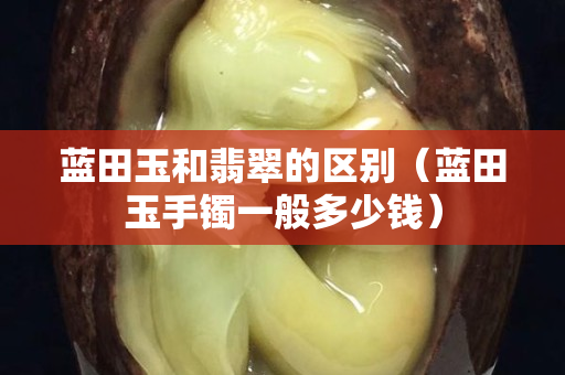 藍田玉和翡翠的區別（藍田玉手鐲一般多少錢）