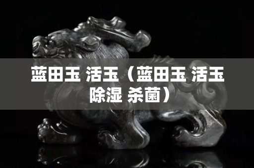 藍(lán)田玉 活玉（藍(lán)田玉 活玉 除濕 殺菌）