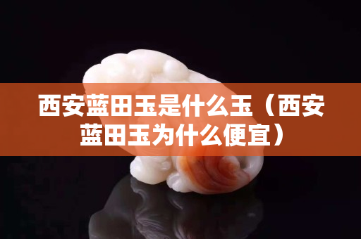 西安藍田玉是什么玉（西安藍田玉為什么便宜）