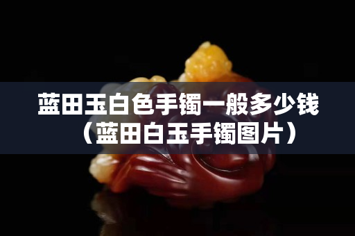 藍田玉白色手鐲一般多少錢（藍田白玉手鐲圖片）