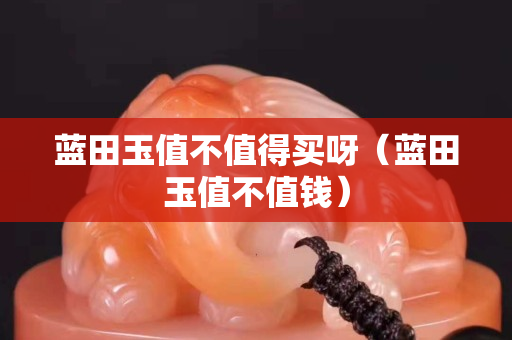 藍田玉值不值得買呀（藍田玉值不值錢）