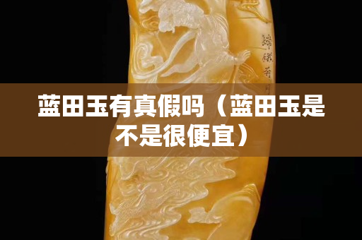 藍(lán)田玉有真假嗎（藍(lán)田玉是不是很便宜）