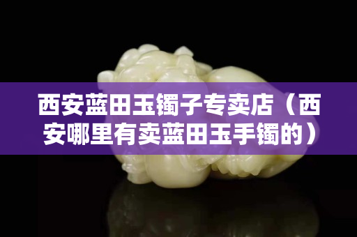 西安藍田玉鐲子專賣店（西安哪里有賣藍田玉手鐲的）