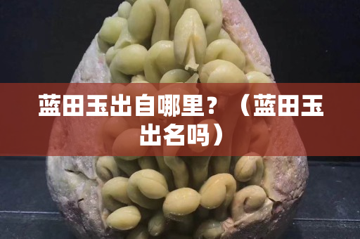 藍田玉出自哪里？（藍田玉出名嗎）