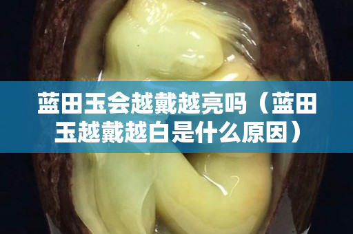 藍田玉會越戴越亮嗎（藍田玉越戴越白是什么原因）