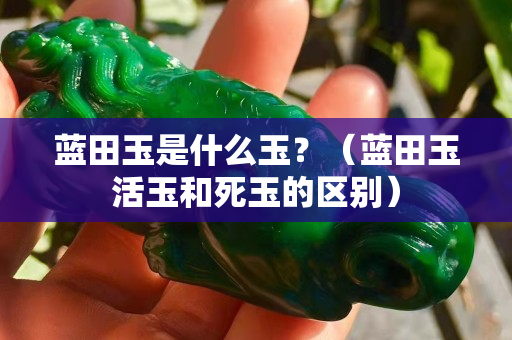 藍田玉是什么玉？（藍田玉活玉和死玉的區別）