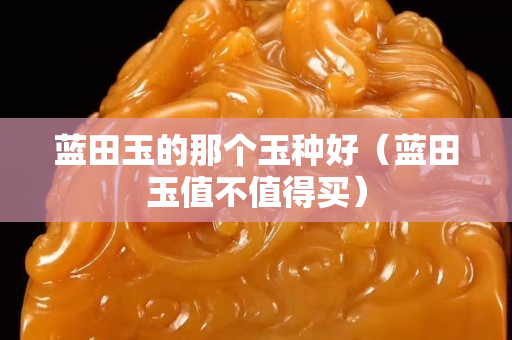 藍田玉的那個玉種好（藍田玉值不值得買）