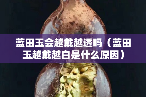 藍田玉會越戴越透嗎（藍田玉越戴越白是什么原因）