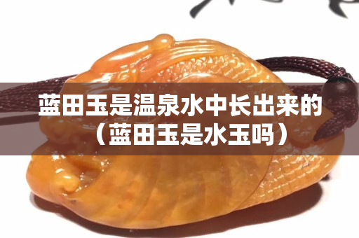 藍田玉是溫泉水中長出來的（藍田玉是水玉嗎）